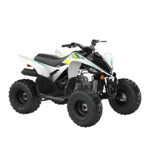 2021 Yamaha RAPTOR 90