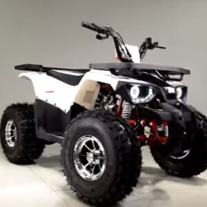 125cc Quad Tao Tao 125cc ATV Raptor Mid Size Automatic With Reverse Junior 4 Wheeler