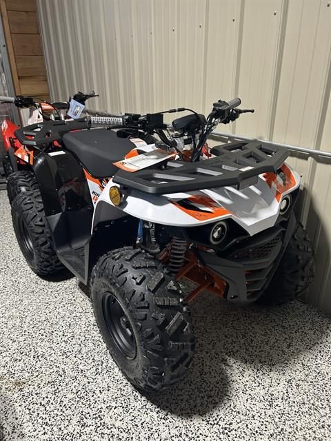 2026 Kayo Bull 125 EFI