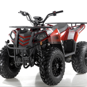 Apollo Commander 200,174cc Fully, Automatic with Reverse, Coil Over Shocks, Dual racks, CARB