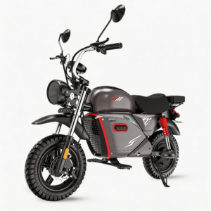 isinwheel Flow Electric Dirt Bike 4000W
